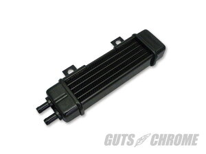 J1200 JaggXCICN[[KITubN