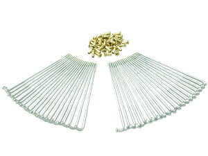 72-5172 Z1 Z2 H2 jN X|[NZbg A 18C`p (ZI/ZII/RS/Z750/Z900/SS750/750SS