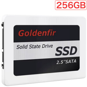 SSD 256GB SATA 2.5C` zCg  w Œ HDD ݊ NTFS exFAT ext4 tH[}bg Goldenfir  ǐՉ\[ Xփ|Xgɂ͂