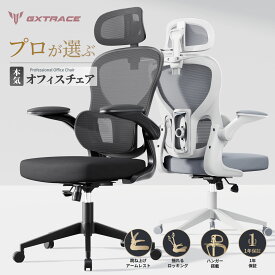 GXTRACE オフィスチェア 通気性 メッシュ ハンガー デスクチェア 椅子 ブラック 独立型 腰サポート 跳ね上げ式アームレスト 3Dヘッドレスト パソコンチェア ゲーミングチェア ゲームチェア
