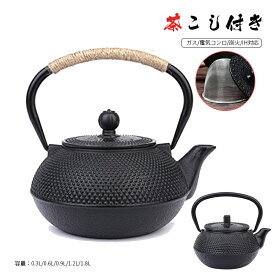 鉄瓶 南部鉄器 鉄瓶兼用急須 鋳物 茶こし付き 茶道道具 鉄やかん IH対応 直火可 鉄製 0.3L 0.6L 0.9L 1.2L 1.8L 送料無料