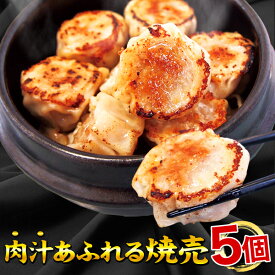 楽天市場 ホワイト 餃子の通販