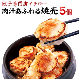 焼売 シュウマイ 5個 冷凍 大粒 肉焼売 肉汁あふれる しゅうまい シューマイ 飲茶 中華 点心 [焼売5個] 工場直販 工場直売 ギフト 敬老の日 お歳暮