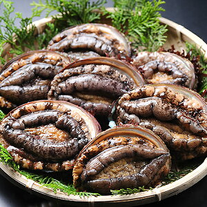 Ar120-130gTCY3 ① [Ar]