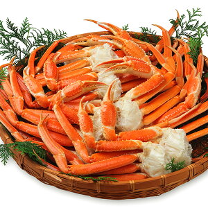 {CYCKj ZNViɌrj2kg Ⓚց@[{CYCKj]