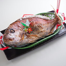 祝い鯛(1Kgサイズ) 冷蔵便　[祝い鯛,祝いタイ,焼き鯛]