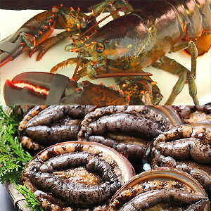 znZbg ①ց@[I}[CV,Ar]