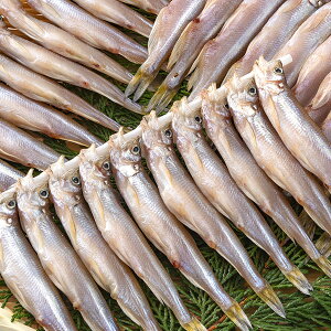 {XikCYj30 Ⓚց@[A{]