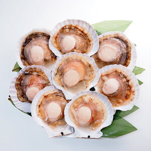 ЊLz^e1pbNi8j Ⓚց@[ЊLz^e,,CN,]