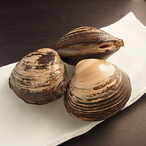 قLi΂j1kgikCYj ①ց@[قL,ΊL]