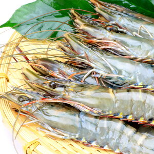 ubN^CK[GrLiTCYj30 Ⓚց@[ubN^CK[,CV,,Gr,L,EVGr]