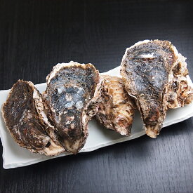生食用岩牡蠣5個 冷蔵便　[岩牡蠣,かき,カキ,牡蠣,通販,牡蠣,お取り寄せ]