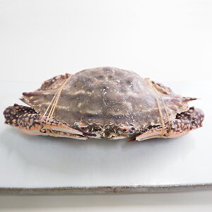 킽I200g Ⓚց@[^Kj]