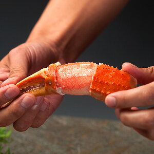 YCKĵɒ܁iXbgj1kg Ⓚց@[ܓ,{C]