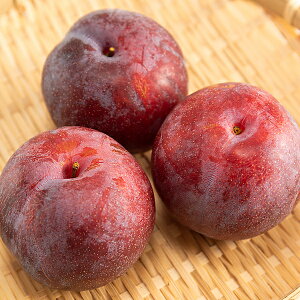 すもも プラムの人気商品 通販 価格比較 価格 Com すもも プラムの人気商品 通販 価格比較 価格 Com