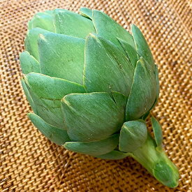 楽天市場 アーティチョーク 野菜 きのこ 食品 の通販