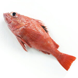 LLiL`Wj1i400-450gj ①ց@[g,]