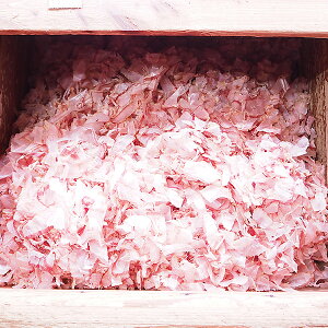 znԂu v250g 퉷ց@[zn,]