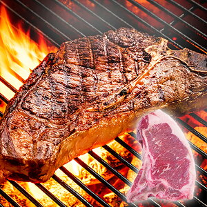 L{[Xe[L500g Ⓚց@[[X,q,tXe[L]