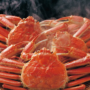 {CYCKjp3kgi600g×5j@Ⓚց@[킢,I,,YCKj]