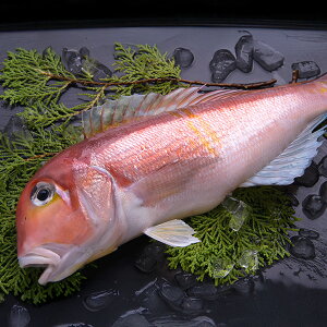 ԊÑ1iĂEϕtpj Ⓚց@[A}_C,Ñ,܂]