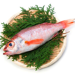 ̂ǂ1iĂEϕtpj Ⓚց@[̂ǂ,ނ,mhO,AJc]