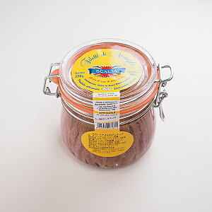 XJ[ÃA`ritBЁj550gC^AEV`AY 퉷ց@[A`r,J^N`,tB]