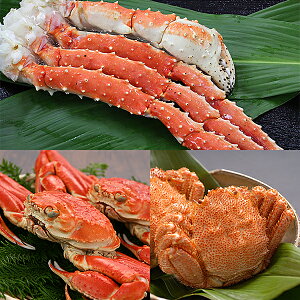 JjO3Zbgi^o1EYC1tEуKj1tj Ⓚ/is@[^oKj,YCKj,уKj]