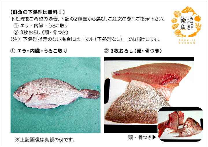 ランキング上位のプレゼント 養殖鯛 たい 1尾 1kg前後サイズ 国産 冷蔵便 Rmladv Com Br