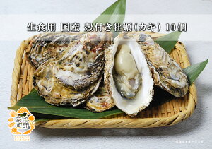 sub1画像
