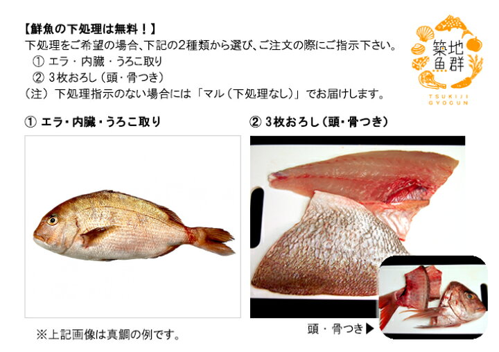 楽天市場 活〆ホシガレイ1尾 800g前後 冷蔵便 星鰈 築地魚群