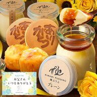 まだ間に合う♪父の日ギフト 2026 お中元 プリン スイーツ 誕生日 プレゼント 送料無料 極プリン3個あり…