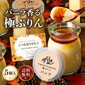 ＼ポイント3倍／敬老の日ギフト お菓子 プリン お取り寄せスイーツ 誕生日プレゼント 女友達 送料無料 極プリン 5個入 箱入 メッセージカード バニラ なめらか 「人気 ランキング 高級 洋菓子 詰め合わせ ケーキ 贈り物 内祝 出産祝 お返し お礼」