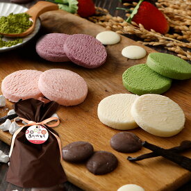 お中元 ギフト チョコレート ギフト クッキー スイーツ 誕生日 プレゼント 送料無料 とろける生チョコクッキー 4種32枚（苺 バニラ 抹茶 ブルーベリー） 個包装 タグ 「お取り寄せ おすすめ 洋菓子 焼菓子 詰め合わせ 贈り物 内祝い 出産祝 お返 お礼 お配り」