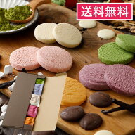 送料無料 お中元 プチギフト チョコレート ギフト クッキー 誕生日 プレゼント とろける生チョコクッキー…