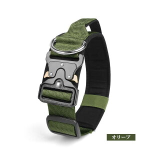 p  ^ ^   ̎ pi ybg ybgpi ʂт  IV  킢 JCC   JbRCC ^p ^p ɂ