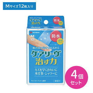 y}\ |CgUPIzPA[  h^Cv MTCY 25mm×70mm 12 4Zbg Jnp ΂񂻂 ^Cv HtB  ɋ h CXgq[