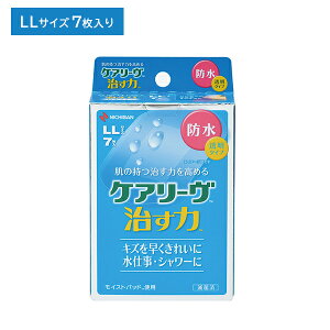 y}\ |CgUPIzPA[  h^Cv LLTCY 50mm×70mm 7 Jnp ΂񂻂 ^Cv HtB  ɋ h CXgq[O  L