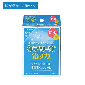 PA[  h^Cv rbOTCY 60mm×80mm 5 Jnp ΂񂻂 ^Cv he[v HtB  ɋ h CXgq[O  LY  PK d