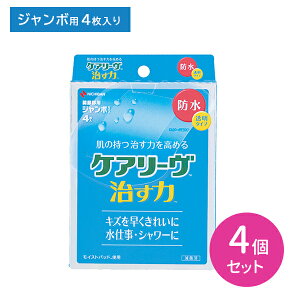 PA[  h^Cv W{TCY 80mm×100mm 4 4Zbg ^Cv he[v HtB  ɋ h CXgq[O ֐ߕ  LY  PK d