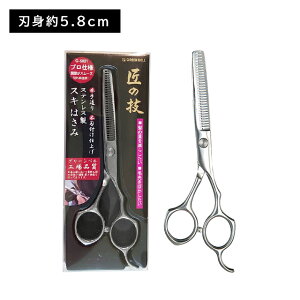 G5021 XeXXLnT~ ͂ Jbg тɂ v  s s ϋv ؂ꖡ Q XeX  ₷ X[Y nh w ї ѐ { O[x