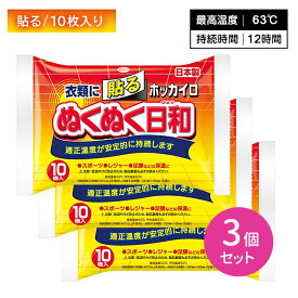 【3個セット】ホッカイロ ぬくぬく日和 貼るタイプ 10枚入 ぬくもり 温かい 12時間持続 使い捨て 手軽 衣服 冬 冷え 防寒 寒さ対策 レジャー スポーツ観戦 屋外作業 興和