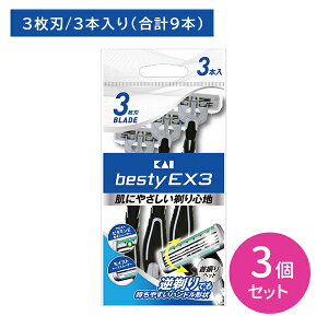 yX[p[SALE |CgUPIzBESTY EX3 3{ 3Zbg 䓁 ݂ J~\ E Ђ ĝėp 3n Uwbh ɂ₳ ₷ 薡Q r^~EzX[U