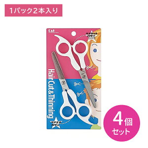 KQ2008 UnT~Zbg 4Zbg ͂ ΂ wAJbg XeX wAPA pi qpi L hk0011