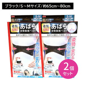 �y2�Z�b�g�z���R�����΂�p�����Ńx���g S�`M�T�C�Y �p�����P ���b�� �]������ ������ �ʋC�� �L�k�� �⏕�x���g �������� �����͒��߃t�B�b�g �N�b�V������ �y�� �����^�т��₷�� �j��