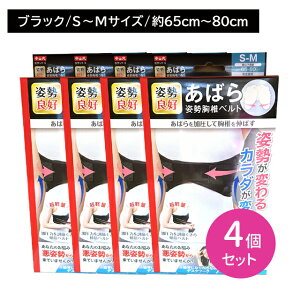 yX[p[SALE |CgUPIzy4ZbgzR΂pŃxg S`MTCY pP b ]  ʋC Lk ⏕xg  ͒߃tBbg NbV