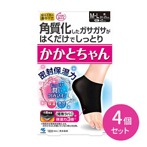 4Zbg Ƃ M`L ubN ѐ 1(2) QƂ̏WPA Ԃg ƂƂ  ۉ ێ