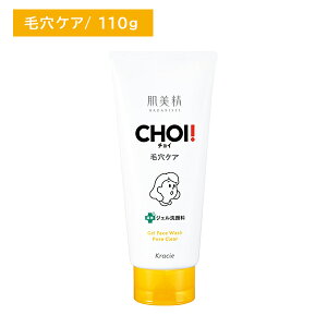 yubNtCf[ |CgUPIz CHOIptFCXEHbV ьPA 110g  Ђ炫ь ь r p Ђ ێ  F XLPA NVG