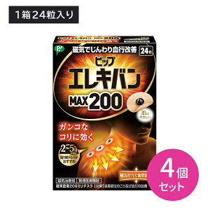 y4ZbgzPIPGLoMAX200 24 CÊ ǗË@  sP Lk  Ȃ ڗɂ ɂ₳ ^~ L͈ wXPApi qpi PIP sbv hk