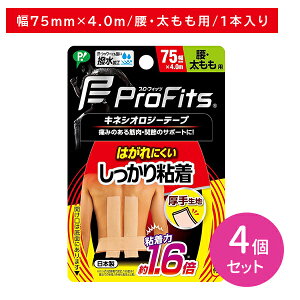 y4ZbgzPROFITSS 75 e[sO T|[g   ؓ ֐ S ?ɂ 萶n Lk h H X|[c g[jO ^ wXpi qpi P